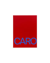 Anthony Caro | PDP | Antonia