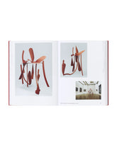 Anthony Caro | PDP | Antonia