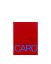 Anthony Caro | PDP | Antonia