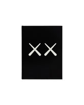 KAWS + Warhol | PDP | Antonia