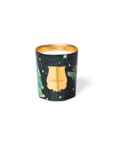 Fir Christmas Tree Candle | PDP | Antonia