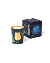 Fir Christmas Tree Candle | PDP | Antonia