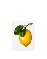 The Gourmand's Lemon. A Collection of Stories and Recipes | PDP | Antonia