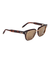 Brown Apollo Sunglasse | PDP | Antonia