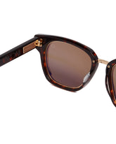 Brown Apollo Sunglasse | PDP | Antonia