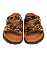Animalier Arizona 1774 Slippers | PDP | Antonia