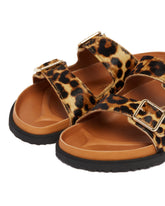 Animalier Arizona 1774 Slippers | PDP | Antonia