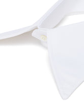 Colletto Bianco | PDP | Antonia