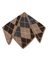 Beige Argyle Cashmere Scarf | PDP | Antonia