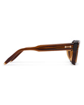 Brown Hercules Sunglasses | PDP | Antonia