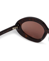 Brown Butterfly Sunglasses | PDP | Antonia