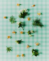 DISCOVER THE LOOK | All | Antonia