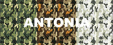 EXCLUSIVE PROJECT: SUPERGA RE-VOLLEY BY ANTONIA | All | Antonia