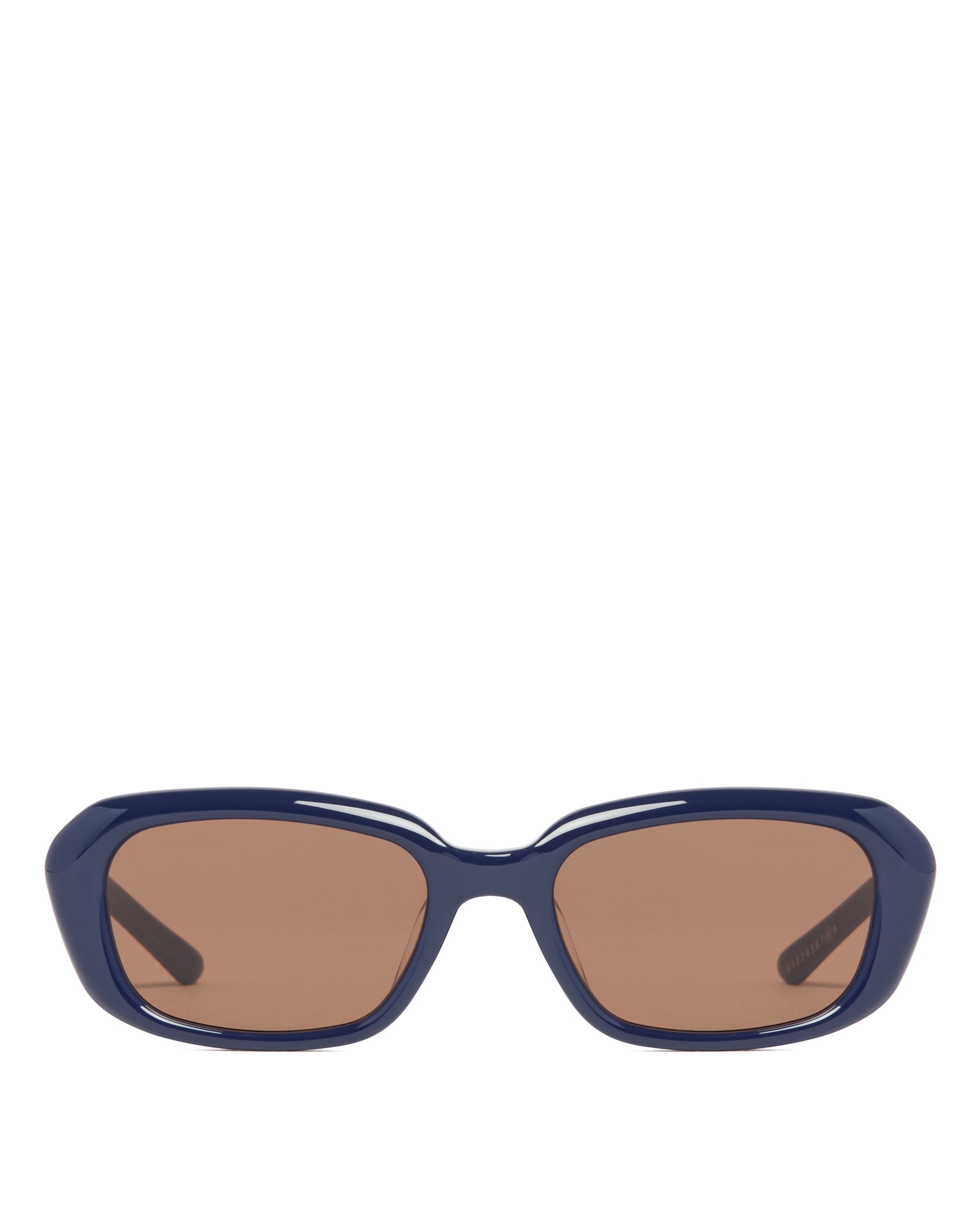Maison Margiela x Gentle Monster MM207 N6 BR Blue Sunglasses