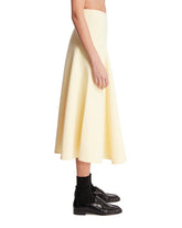 Yellow The Triangle Skirt | PDP | Antonia