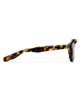 Brown RF-160 Sunglasses | PDP | Antonia