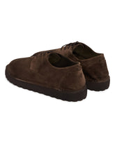 Scarpe Derby Sancrispa Marroni | PDP | Antonia