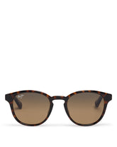 Havana Hiehie Sunglasses - MAUI JIM MEN | PLP | Antonia