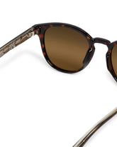 Havana Hiehie Sunglasses | PDP | Antonia