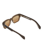 Brown Molino Sunglasses | PDP | dAgency