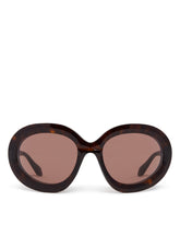 Brown Butterfly Sunglasses - Alaia women | PLP | Antonia
