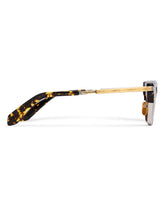Brown Sartre Sunglasses | PDP | Antonia