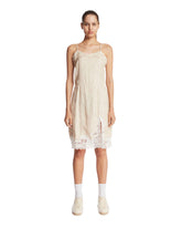 Beige Landscape Embroidered Tulle Dress | PDP | Antonia