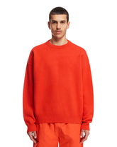 Red Wool Sweater - Men's knitwear | PLP | dAgency