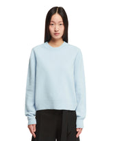 Light Blue Crewneck Sweater - Women's knitwear | PLP | dAgency