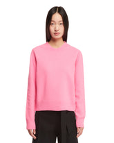 Pink Crewneck Sweater - Women's knitwear | PLP | dAgency