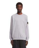 Gray Crewneck Sweatshirt - Men's sweatshirts | PLP | dAgency